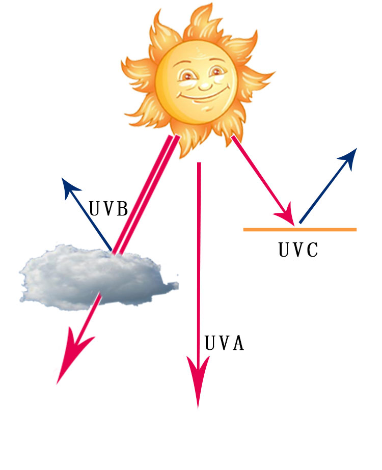 紫外线辐射能让我们的皮肤变黑,老化以及产生细纹,甚至引发晒伤,红斑
